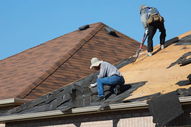 Best Cold Roofs  in River Ridge, FL