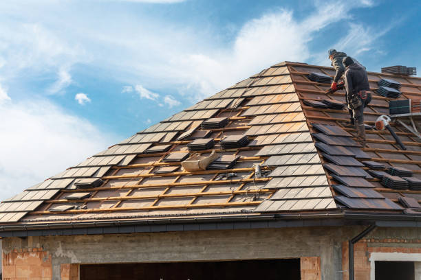 Best Roof Maintenance and Cleaning  in River Ridge, FL